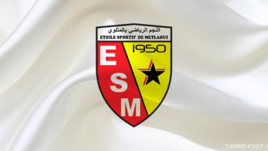Logo ESM
