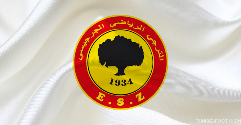Logo ESZ